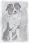 COMMISION NOT FOR SALE